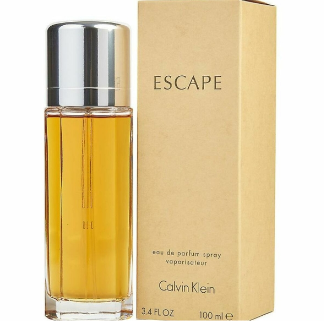Women's Perfume Escape Calvin Klein EDP EDP 100 ml